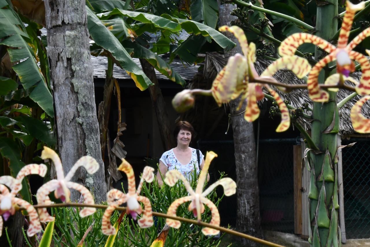 Hotel Alisei Las Terrenas Luaran gambar