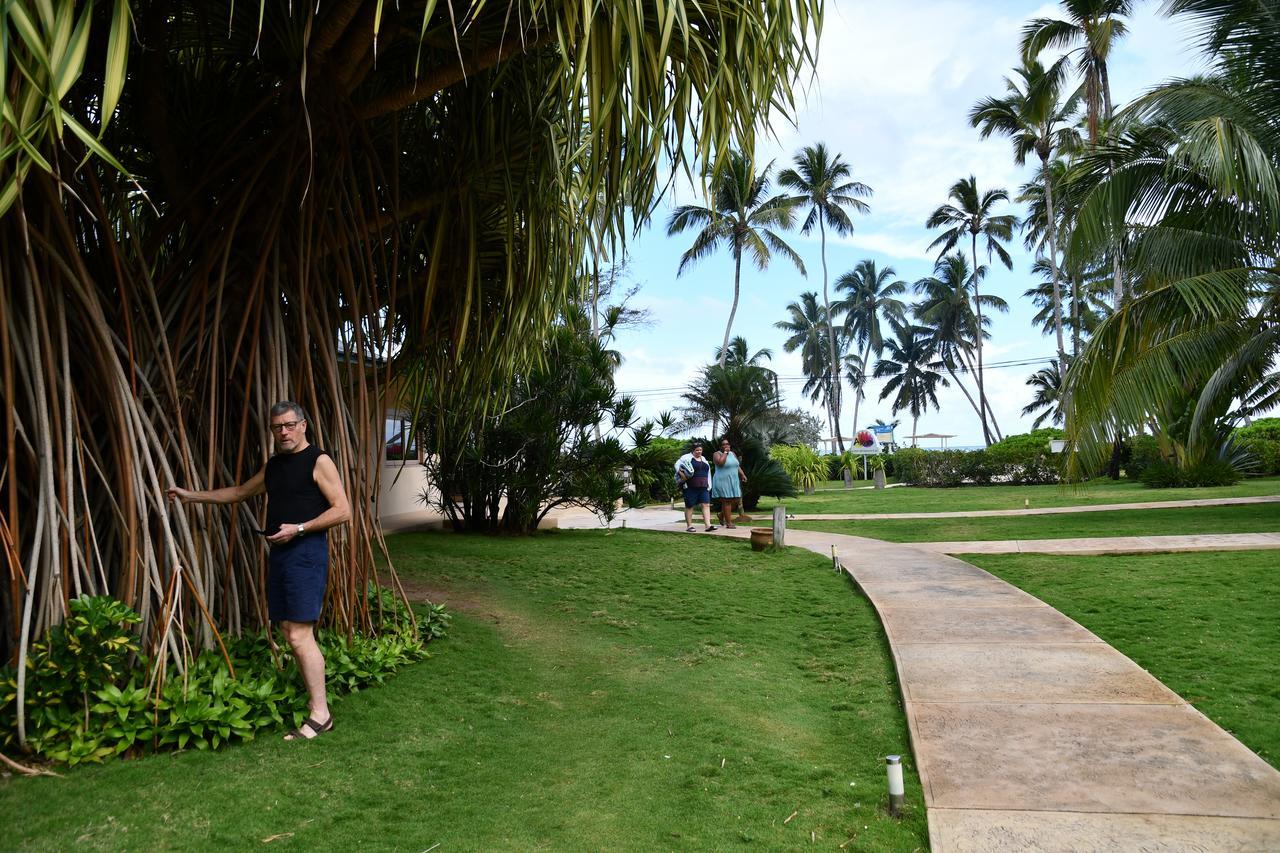 Hotel Alisei Las Terrenas Luaran gambar